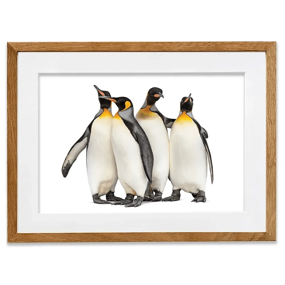 Penguin Gang Framed Art Print