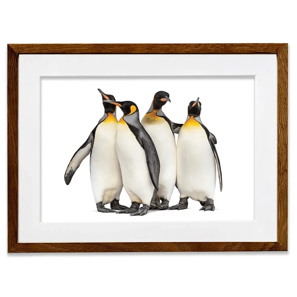 Penguin Gang Framed Art Print