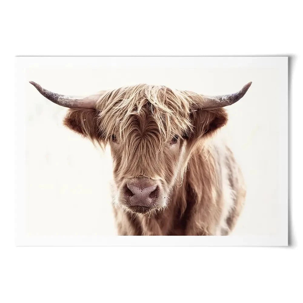 Soft Brown Highland Cow Art Print