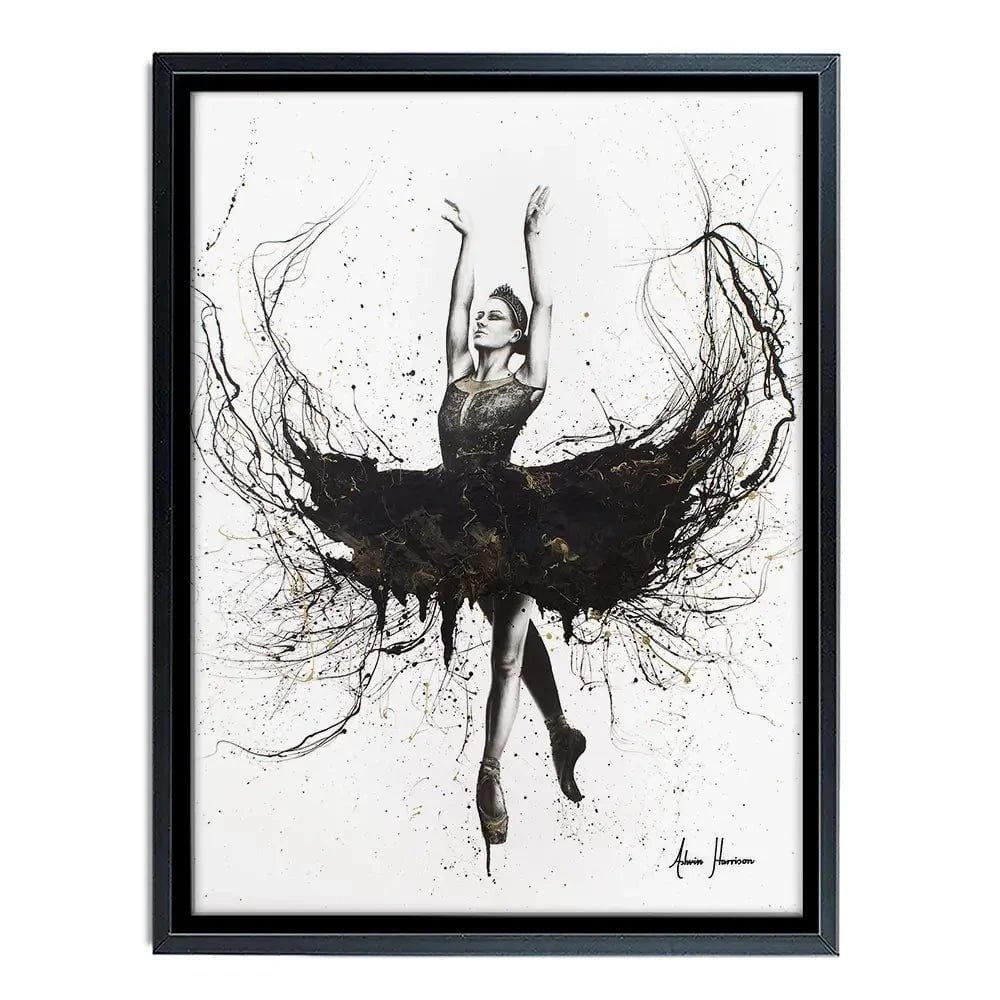 The Black Swan Canvas Print