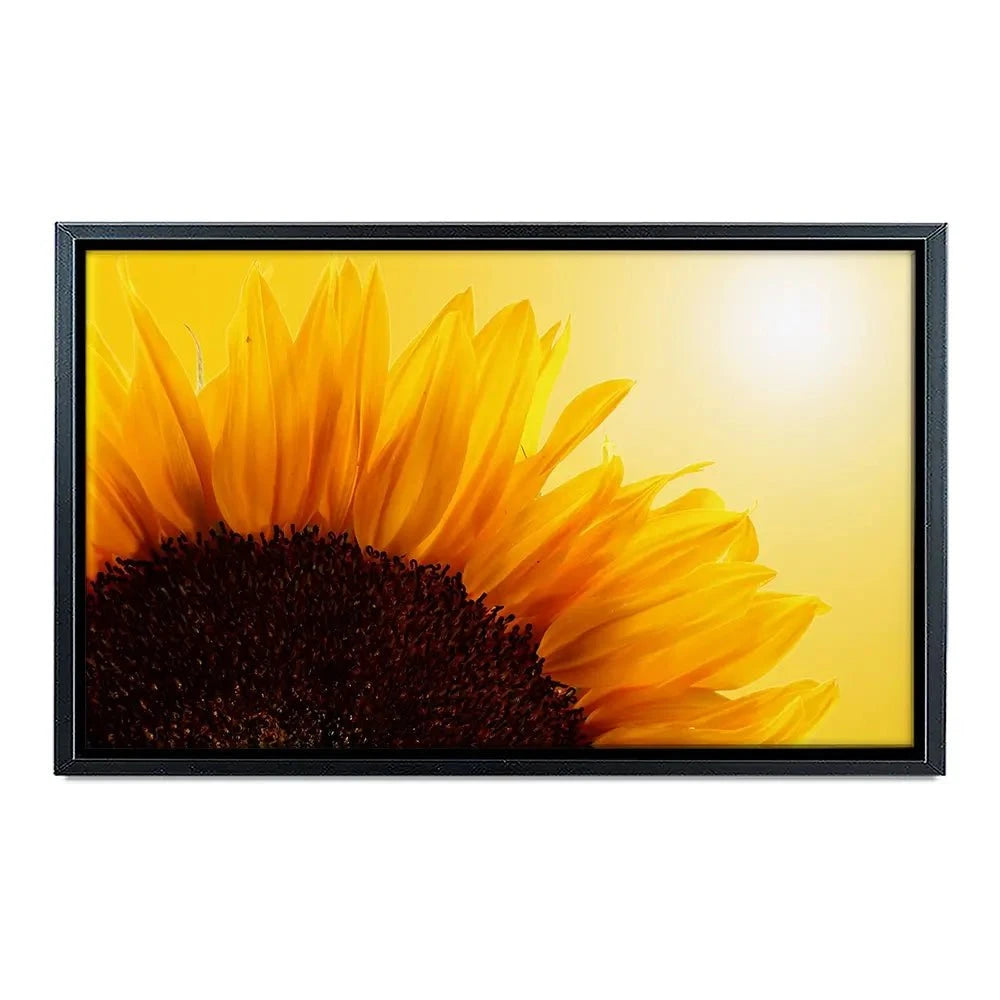 Sunflower Canvas Print