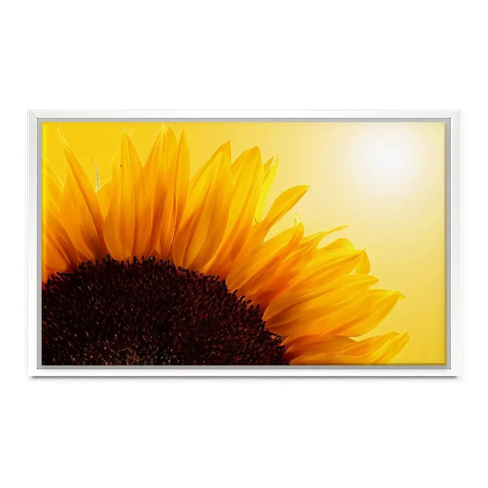 Sunflower Canvas Print