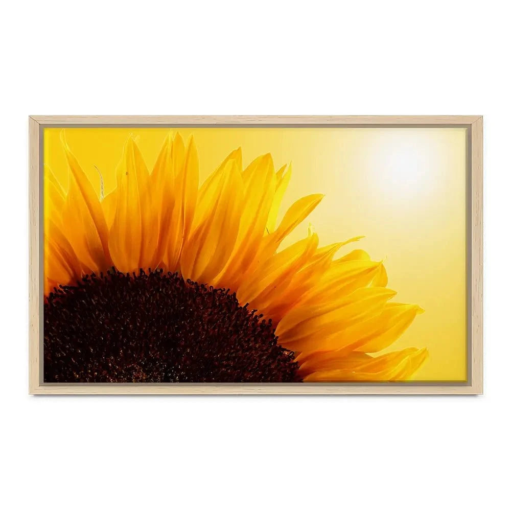 Sunflower Canvas Print