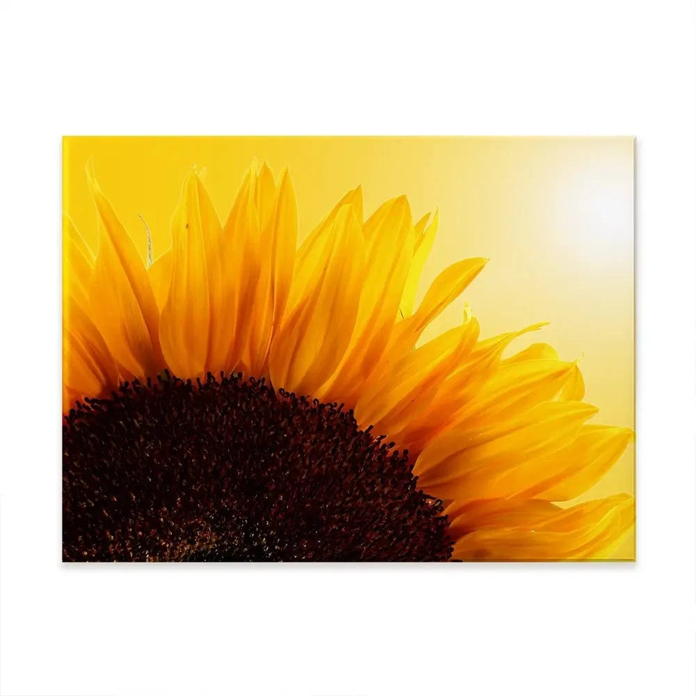 Sunflower Canvas Print
