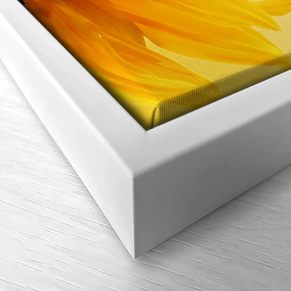 Sunflower Canvas Print