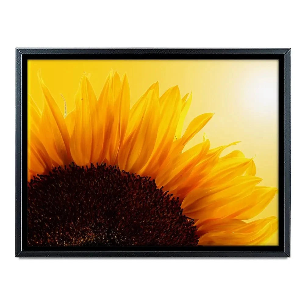 Sunflower Canvas Print