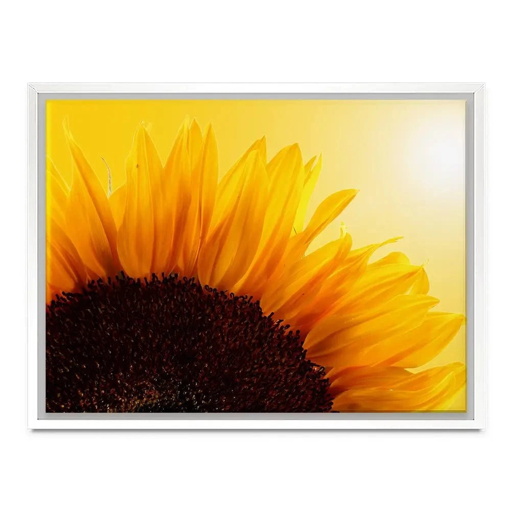 Sunflower Canvas Print