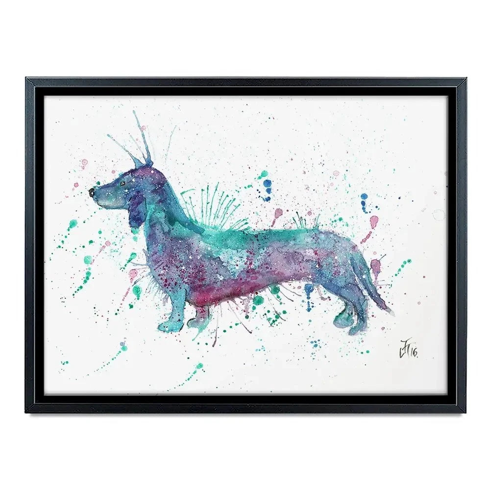 Mr Sausage Dog Canvas Print