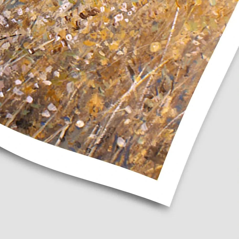 Autumn Flowering Art Print