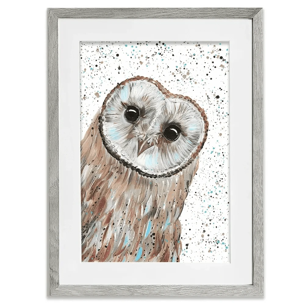 Owl Apollo Framed Art Print