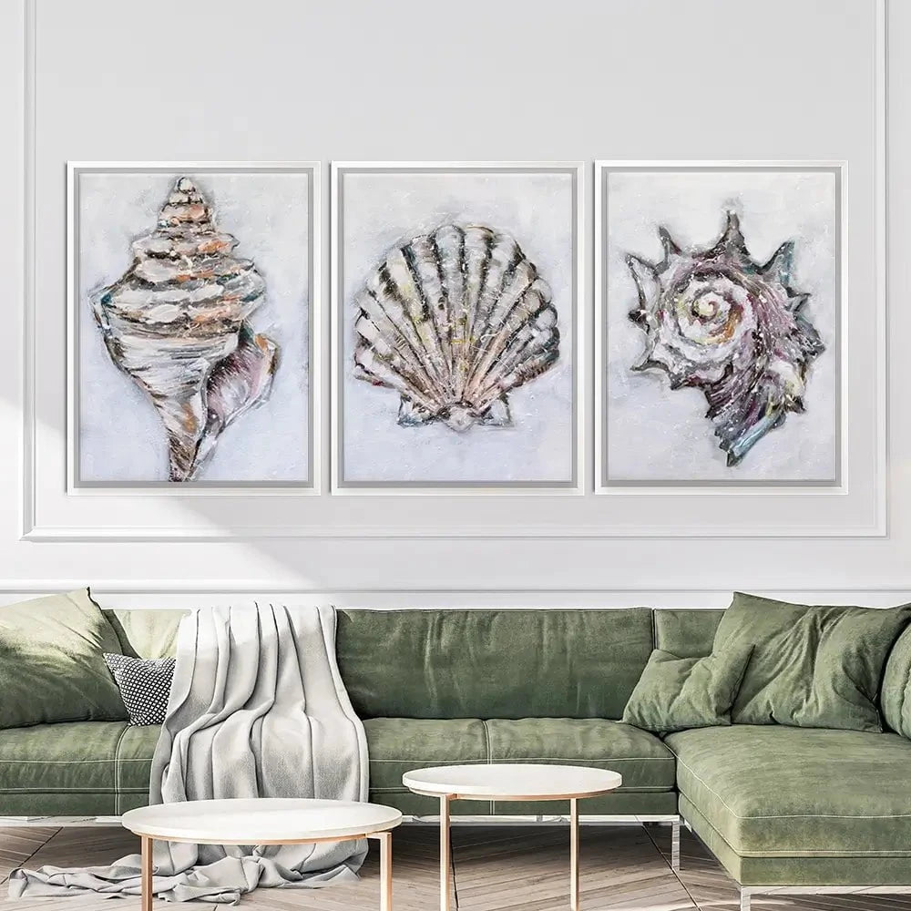 Three Shells Trio Canvas Print
