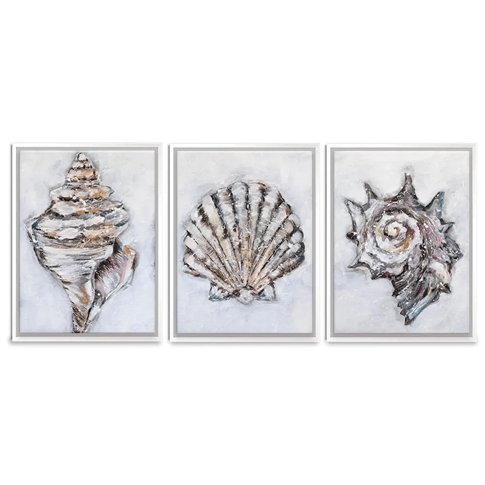 Three Shells Trio Canvas Print