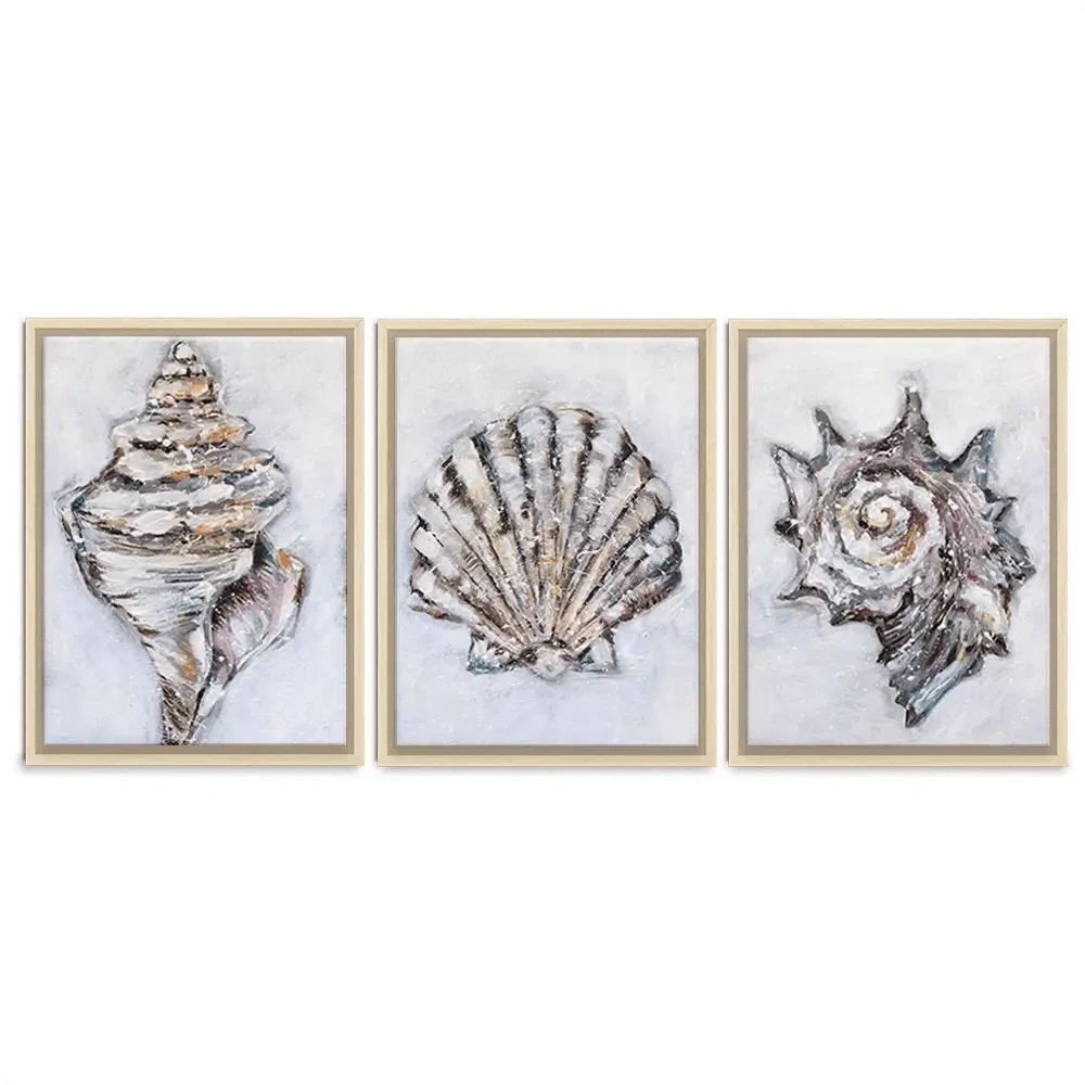Three Shells Trio Canvas Print