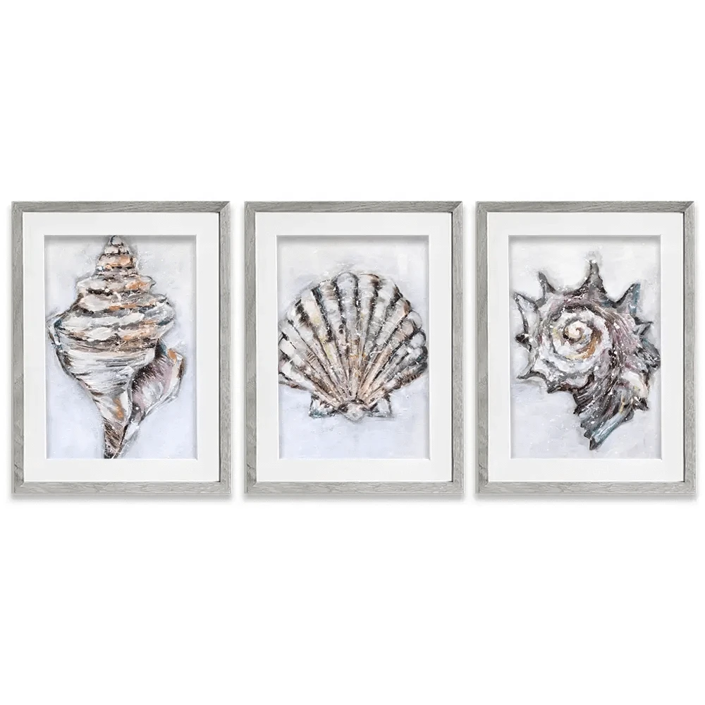 Three Shells Framed Art Print Trio