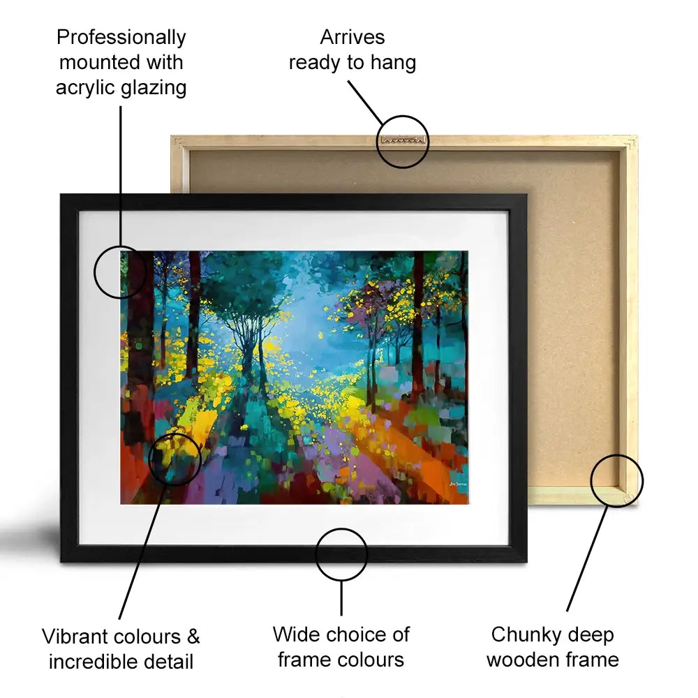 Enchanted Colourful Forest Framed Art Print