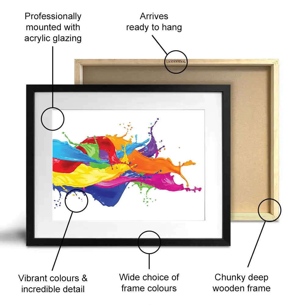 A Splash Of Colour Framed Art Print A Splash Of Colour Framed Art Print | A Splash Of Colour Framed Art wall art product stockphoto-graf / Shutterstock