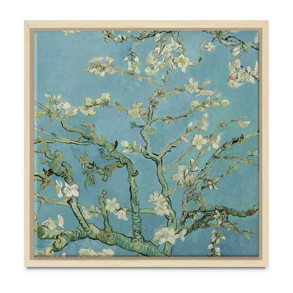 Almond Blossoms Oversized Canvas Print Almond Blossoms Oversized Canvas Print wall art product Art Print Shop