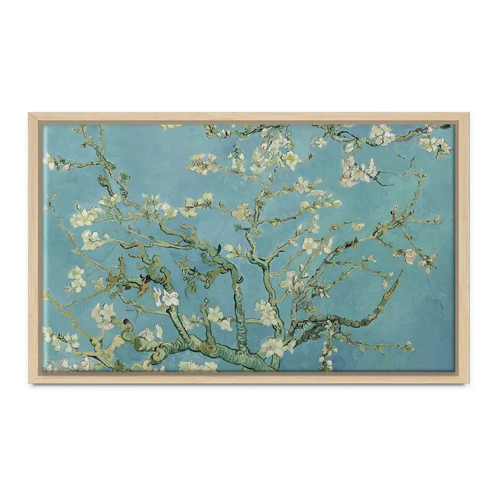 Almond Blossoms Oversized Canvas Print Almond Blossoms Oversized Canvas Print wall art product Art Print Shop