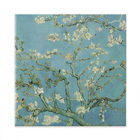Almond Blossoms Square Canvas Print Almond Blossoms Square Canvas Print wall art product Vincent Van Gogh