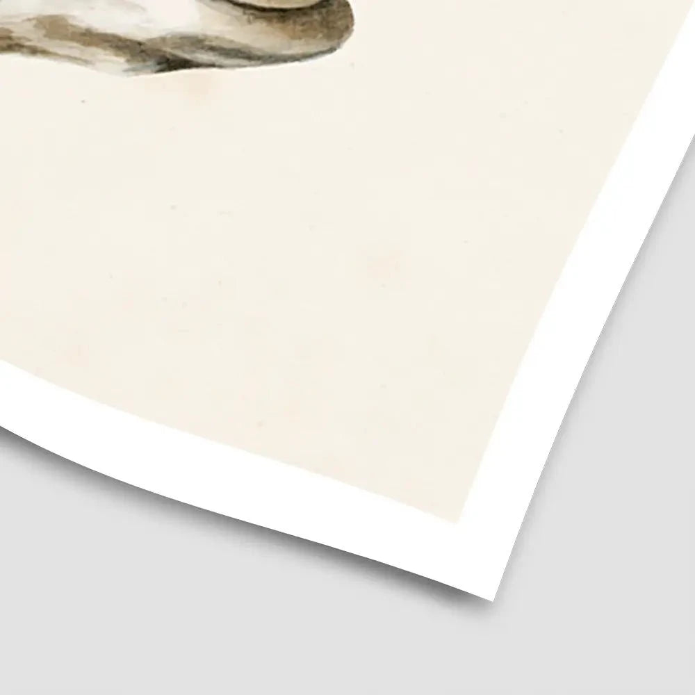 At Your Feet Art Print At Your Feet Art Print wall art product Grace Popp