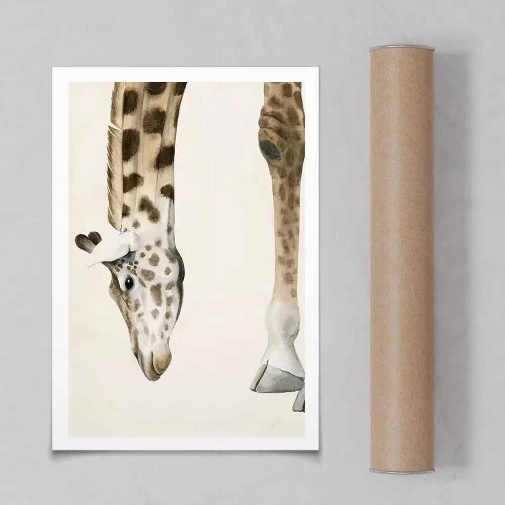 At Your Feet Art Print At Your Feet Art Print wall art product Grace Popp