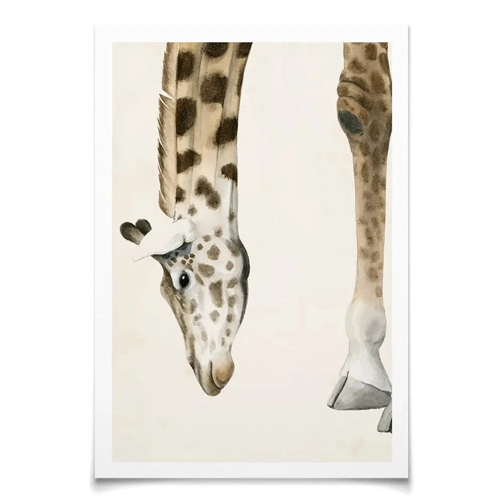 At Your Feet Art Print At Your Feet Art Print wall art product Grace Popp