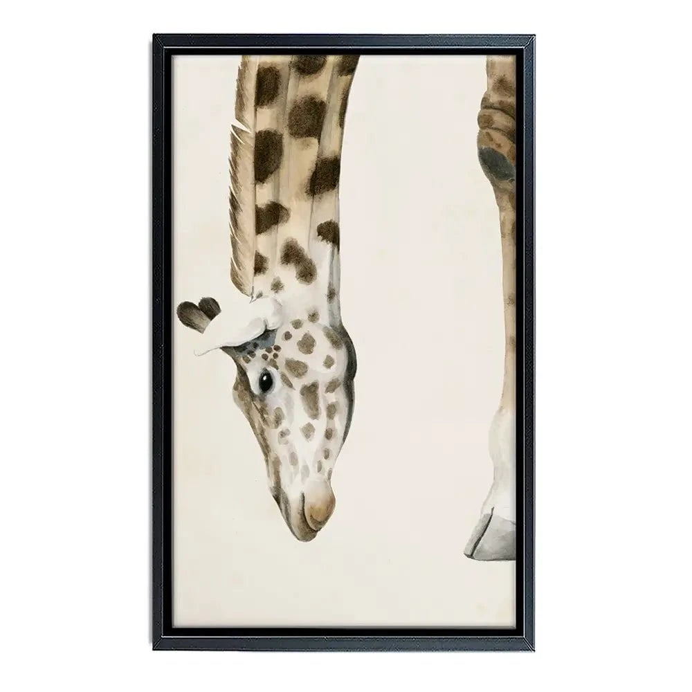 At Your Feet Canvas Print At Your Feet Canvas Print wall art product Grace Popp