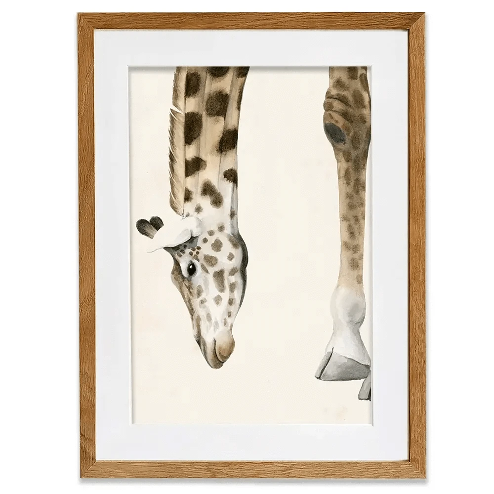 At Your Feet Framed Art Print At Your Feet Framed Art Print wall art product Grace Popp
