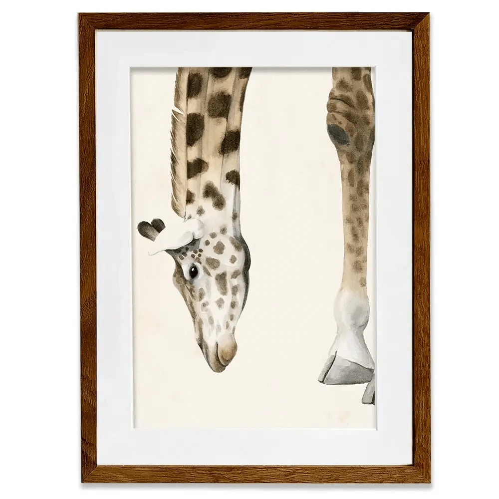 At Your Feet Framed Art Print At Your Feet Framed Art Print wall art product Grace Popp