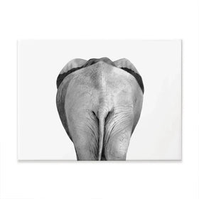 Back Up Plan 2 Canvas Print Back Up Plan 2 Canvas Print wall art product Victoria Borges