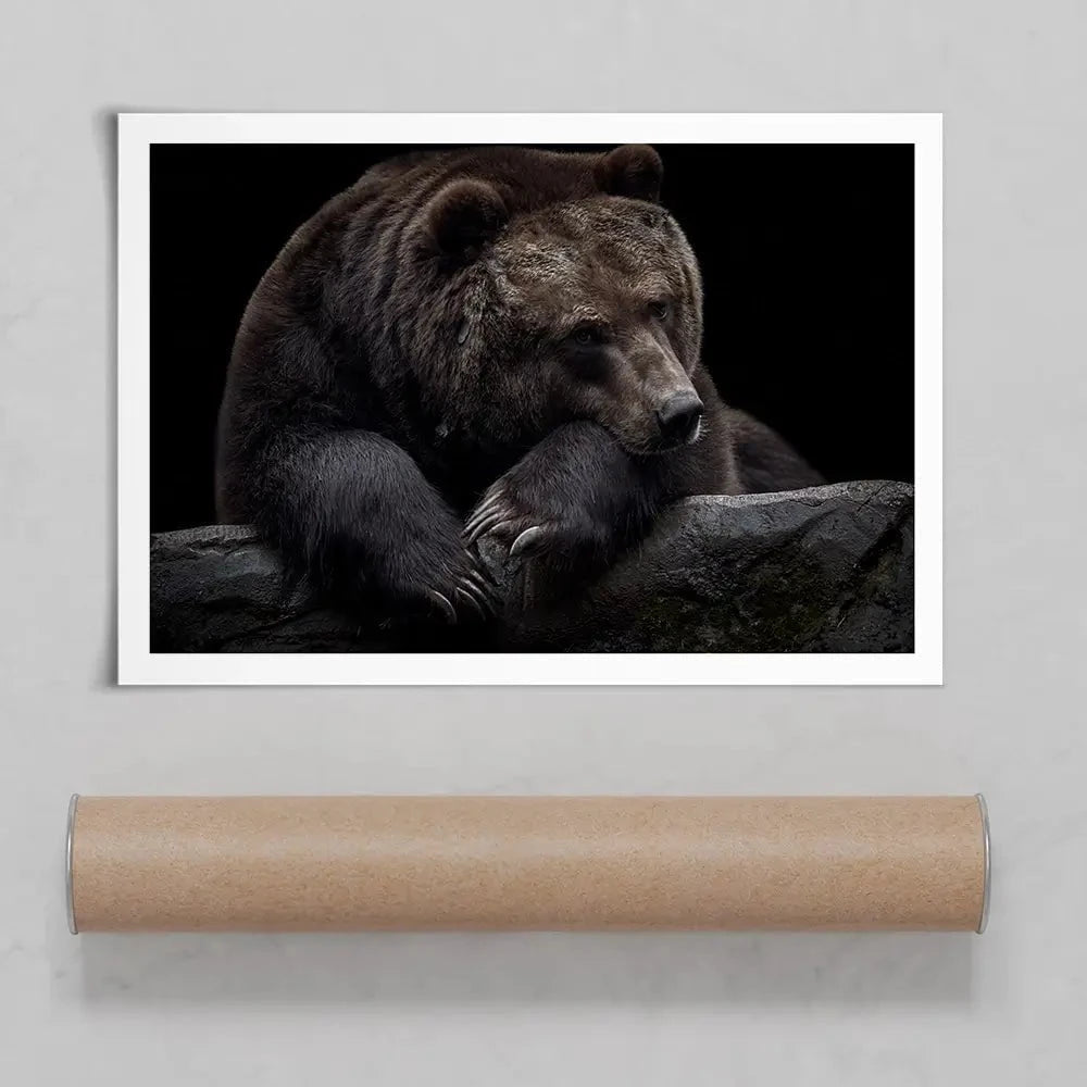 Bear Art Print Bear Art Print wall art product Thomas Marx / Shutterstock