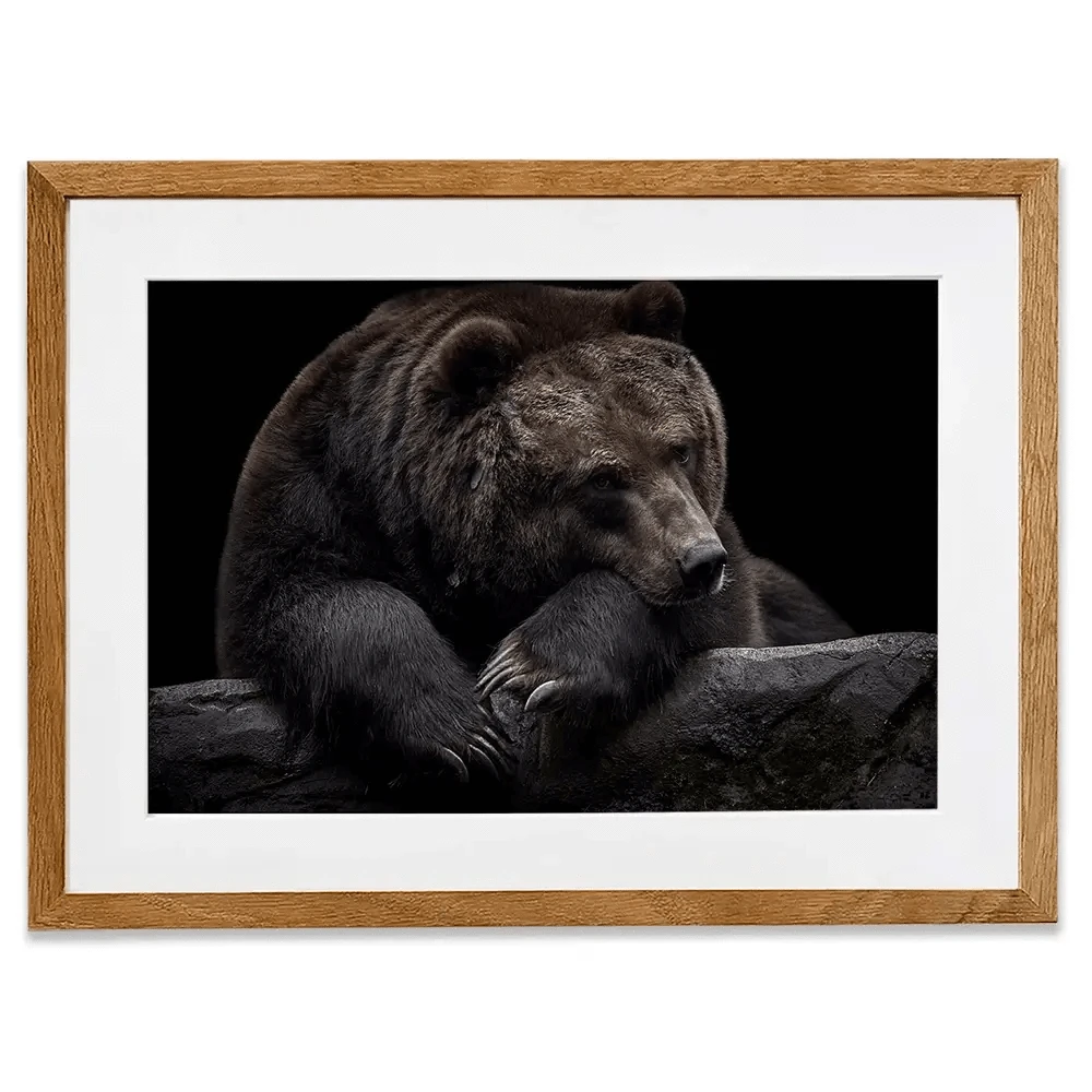 Bear Framed Art Print Bear Framed Art Print wall art product Thomas Marx / Shutterstock