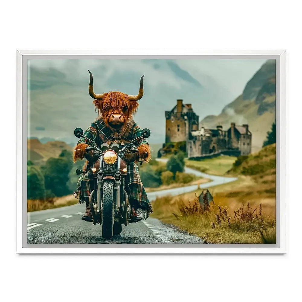 Biker Coo Canvas Print Biker Coo Canvas Print wall art product David Alexander Elder