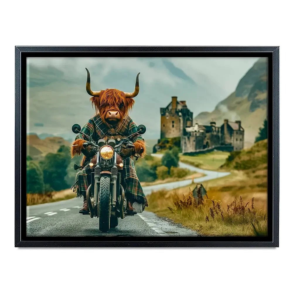 Biker Coo Canvas Print Biker Coo Canvas Print wall art product David Alexander Elder