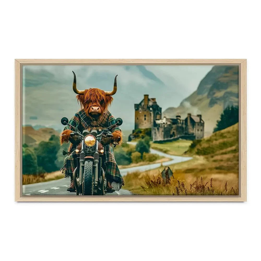 Biker Coo Canvas Print Biker Coo Canvas Print wall art product David Alexander Elder