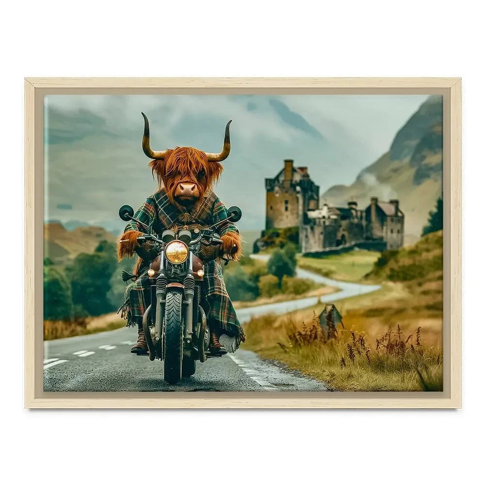 Biker Coo Canvas Print Biker Coo Canvas Print wall art product David Alexander Elder