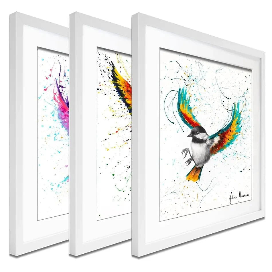 Birds Framed Art Print Trio Birds Framed Art Print Trio wall art product Ashvin Harrison