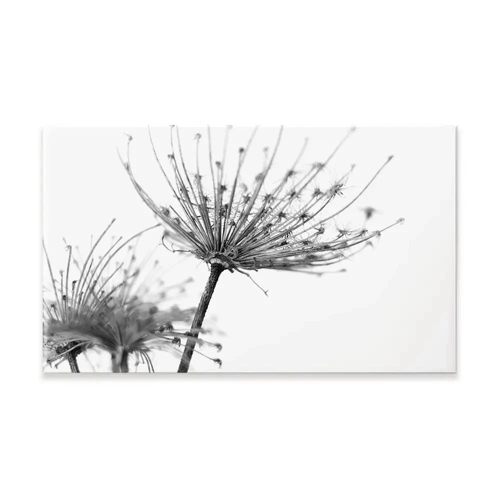 Black And White Dandelions Canvas Print Black And White Dandelions Canvas Print wall art product Dubova / Shutterstock