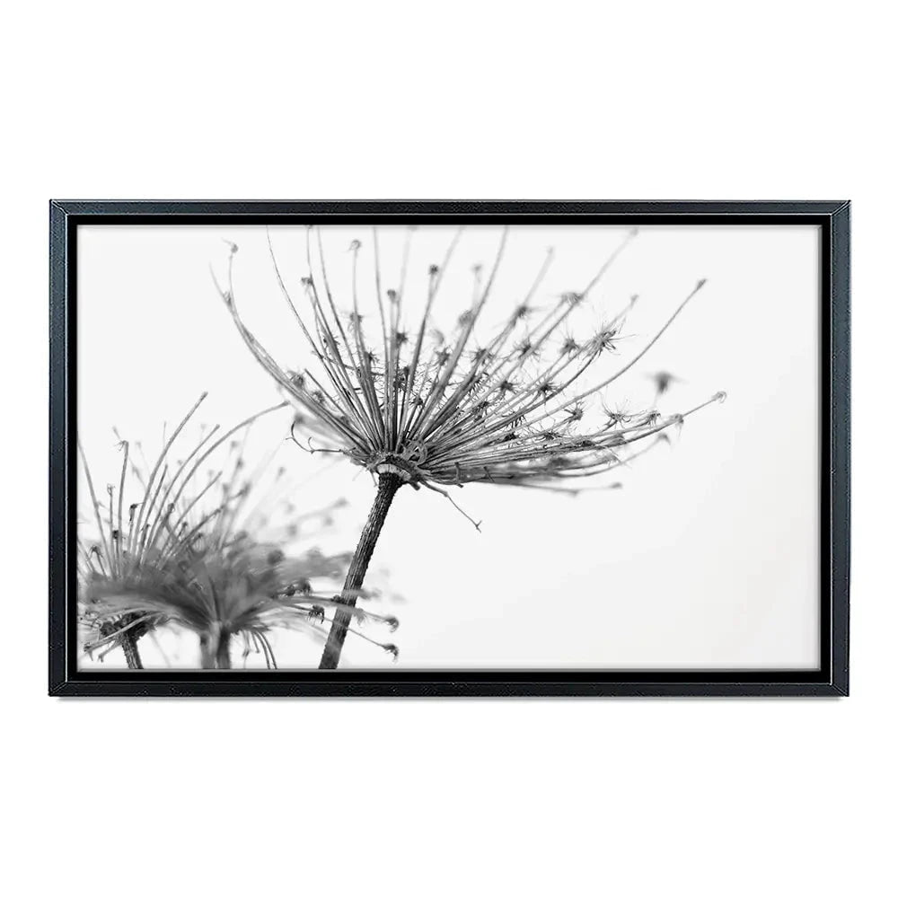 Black And White Dandelions Canvas Print Black And White Dandelions Canvas Print wall art product Dubova / Shutterstock