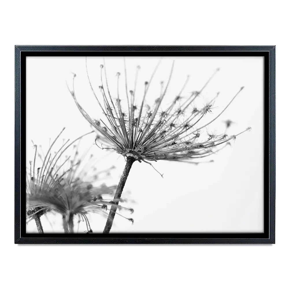 Black And White Dandelions Canvas Print Black And White Dandelions Canvas Print wall art product Dubova / Shutterstock