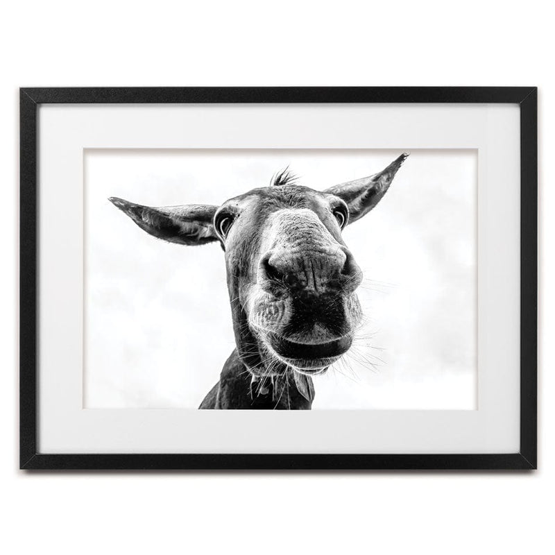 Black And White Donkey Framed Art Print wall art product COLOMBO NICOLA / Shutterstock