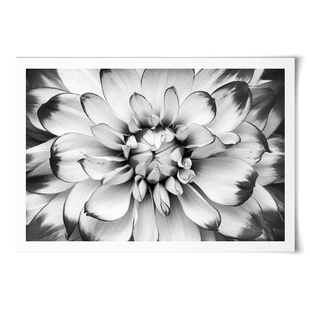 Black And White Flower Art Print Black And White Flower Art Print wall art product Annmarie Young / Shutterstock