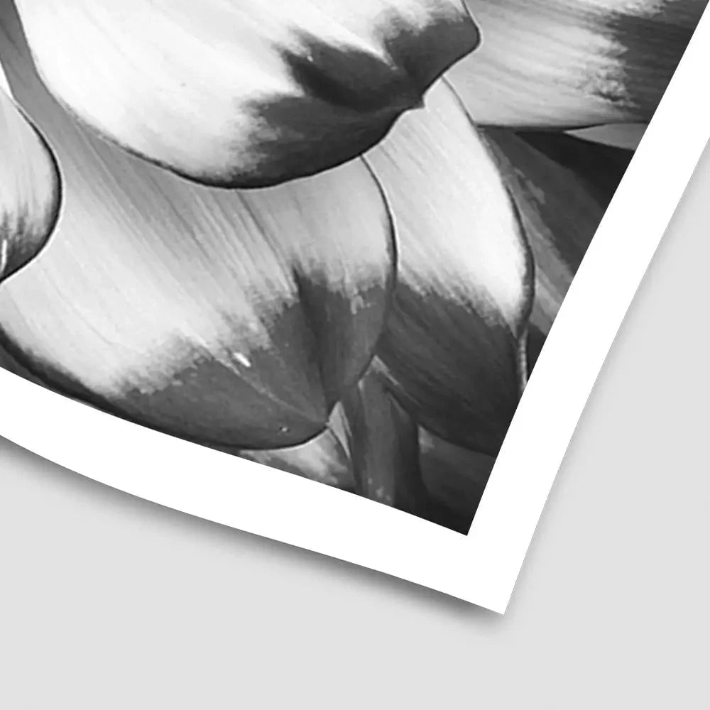 Black And White Flower Art Print Black And White Flower Art Print wall art product Annmarie Young / Shutterstock
