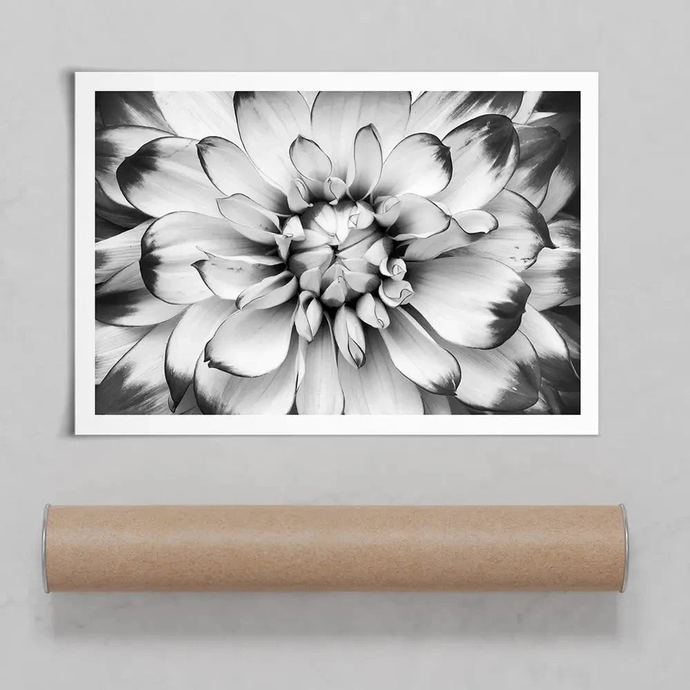Black And White Flower Art Print Black And White Flower Art Print wall art product Annmarie Young / Shutterstock