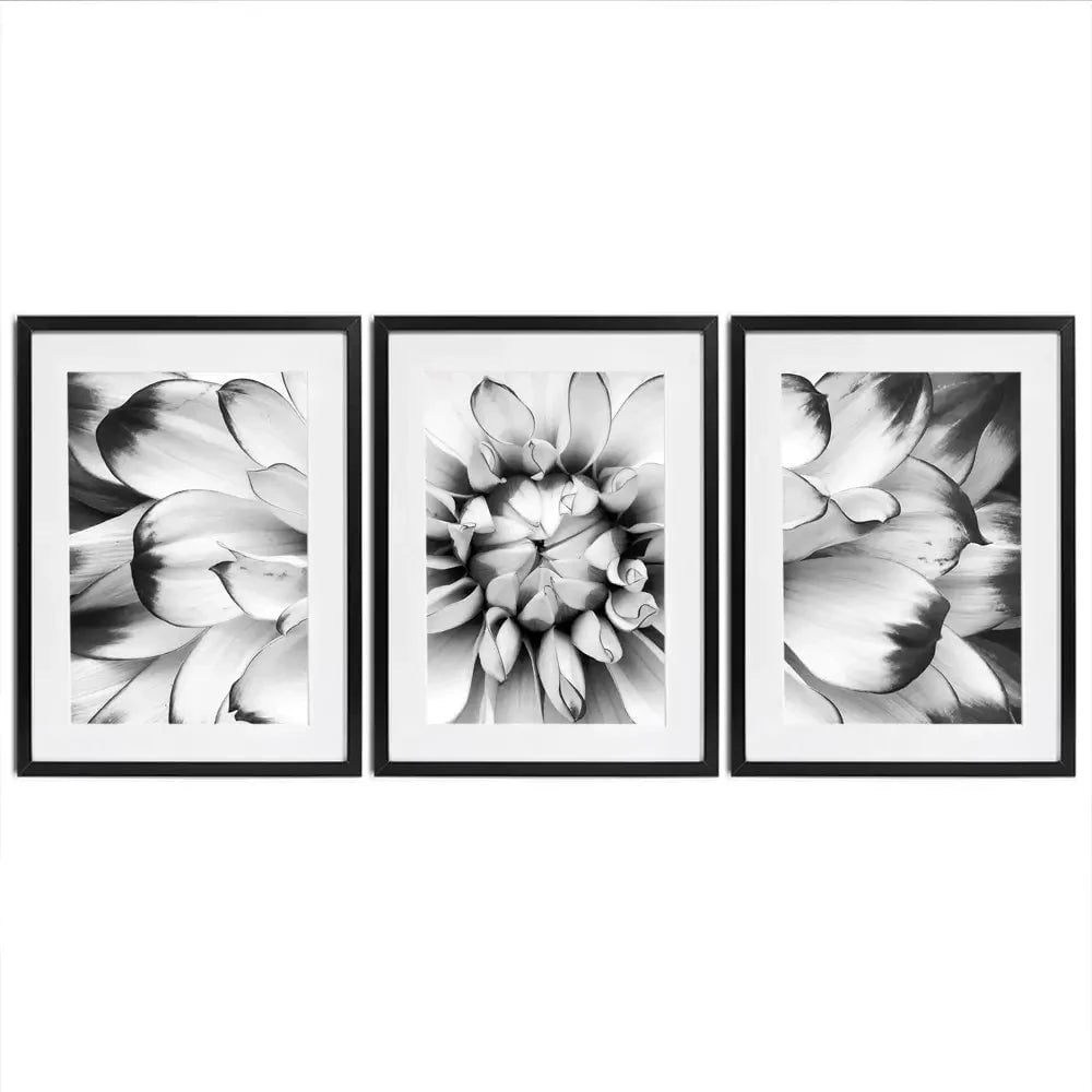 Black And White Flower Framed Art Print Trio Black And White Flower Framed Art Print Trio wall art product Annmarie Young / Shutterstock