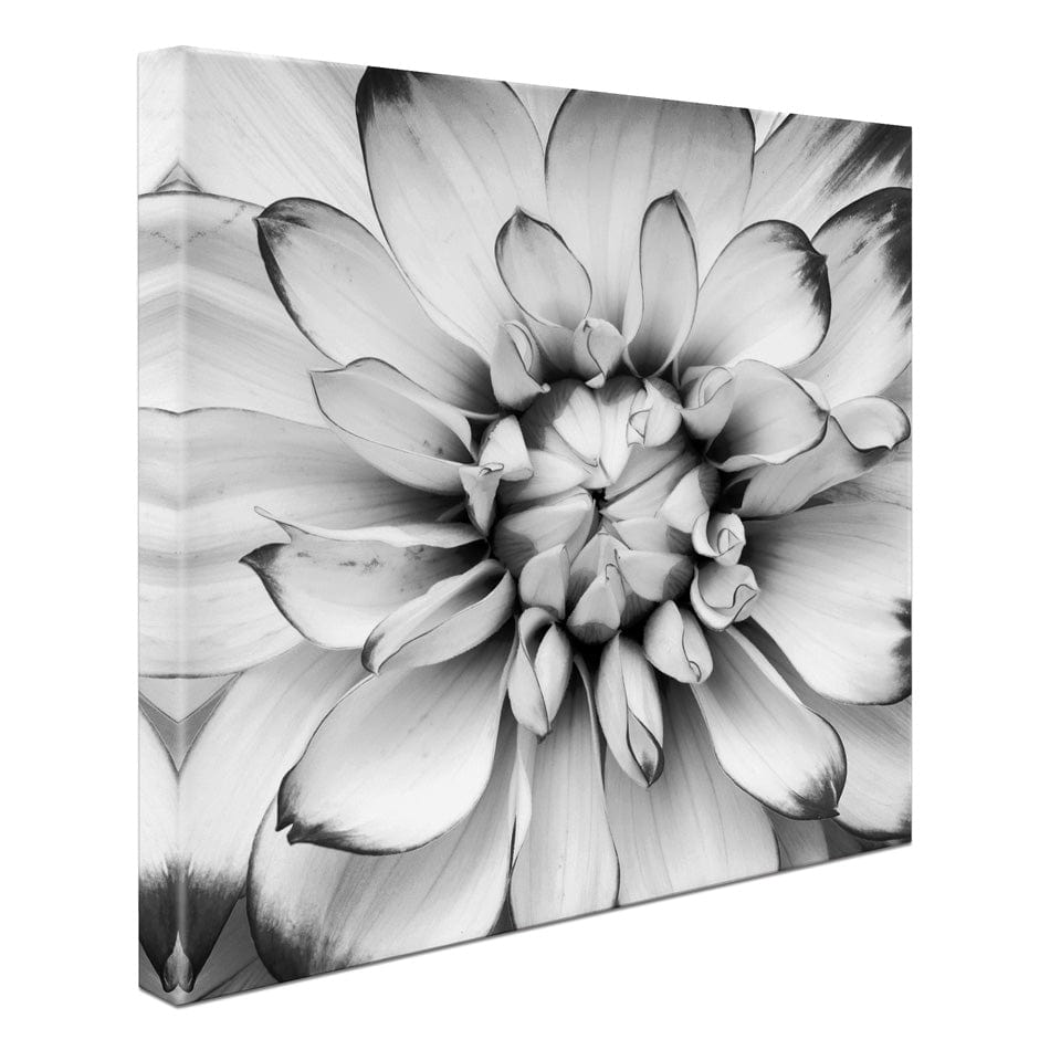 Black And White Flower Square Canvas Print wall art product Annmarie Young / Shutterstock