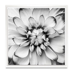 Black And White Flower Square Canvas Print wall art product Annmarie Young / Shutterstock