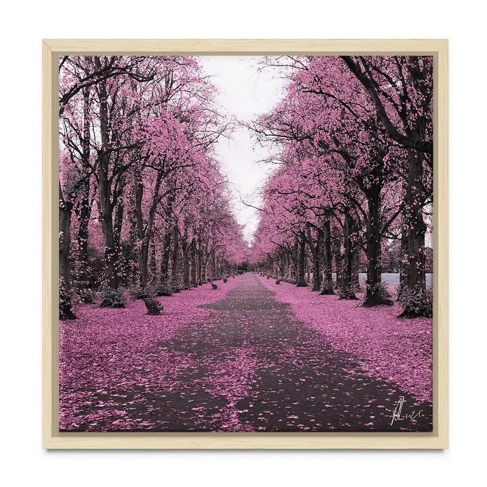 Blossom Path Canvas Print Blossom Path Canvas Print wall art product Aimee Linzi