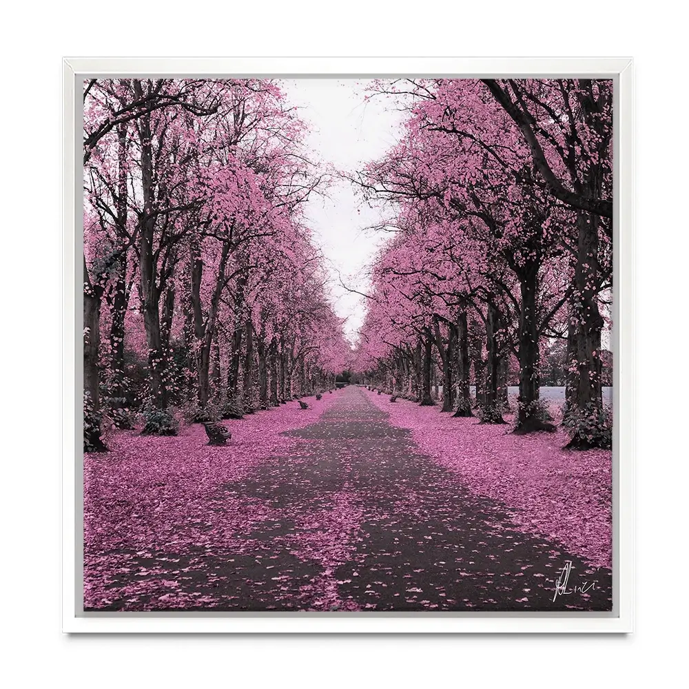 Blossom Path Canvas Print Blossom Path Canvas Print wall art product Aimee Linzi