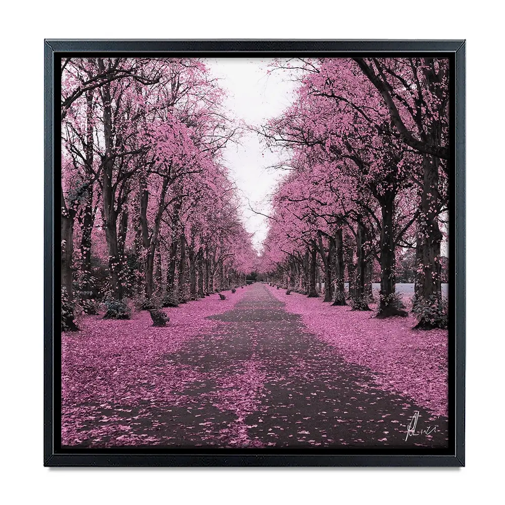 Blossom Path Canvas Print Blossom Path Canvas Print wall art product Aimee Linzi